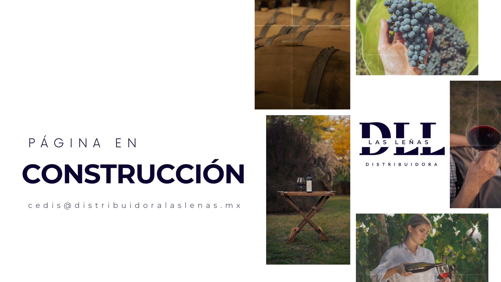 Las Leñas - Próximamente